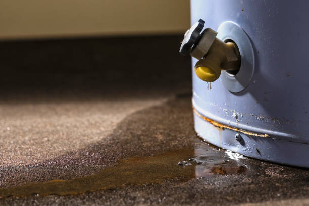 Best Professional water damage repair  in Greenfield, OH