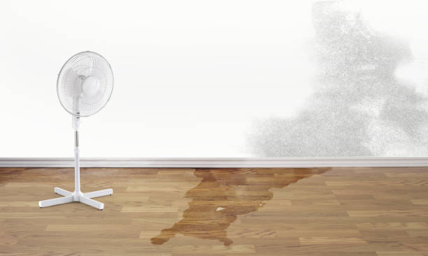 Best Basement water damage restoration  in Greenfield, OH