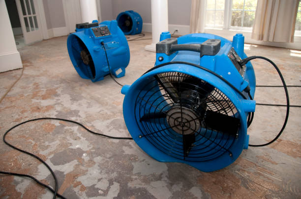 Best Sewage cleanup and water damage restoration  in Greenfield, OH