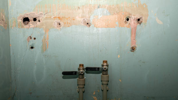 Best Water damage restoration cost  in Greenfield, OH