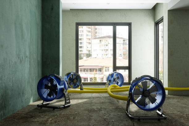 Best Water damage restoration near me  in Greenfield, OH