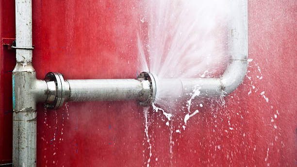 Best Carpet water damage restoration  in Greenfield, OH